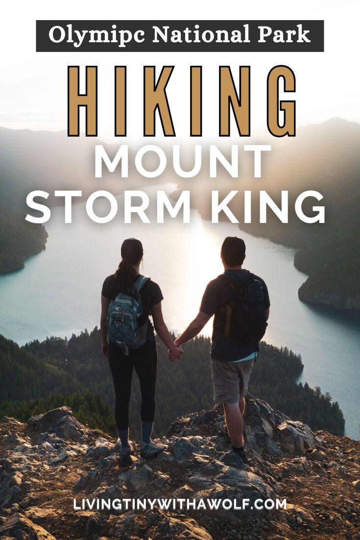 Hiking Mt. Storm King in Olympic National Park (Ropes, Difficulty + More!)