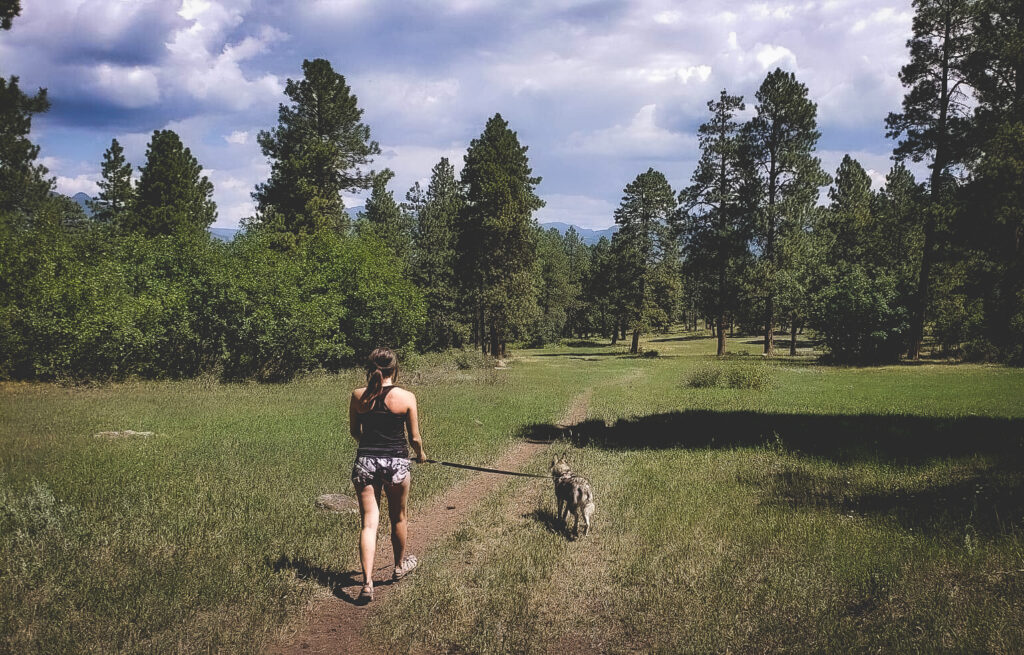 Nicoll going hiking in Pagosa Springs