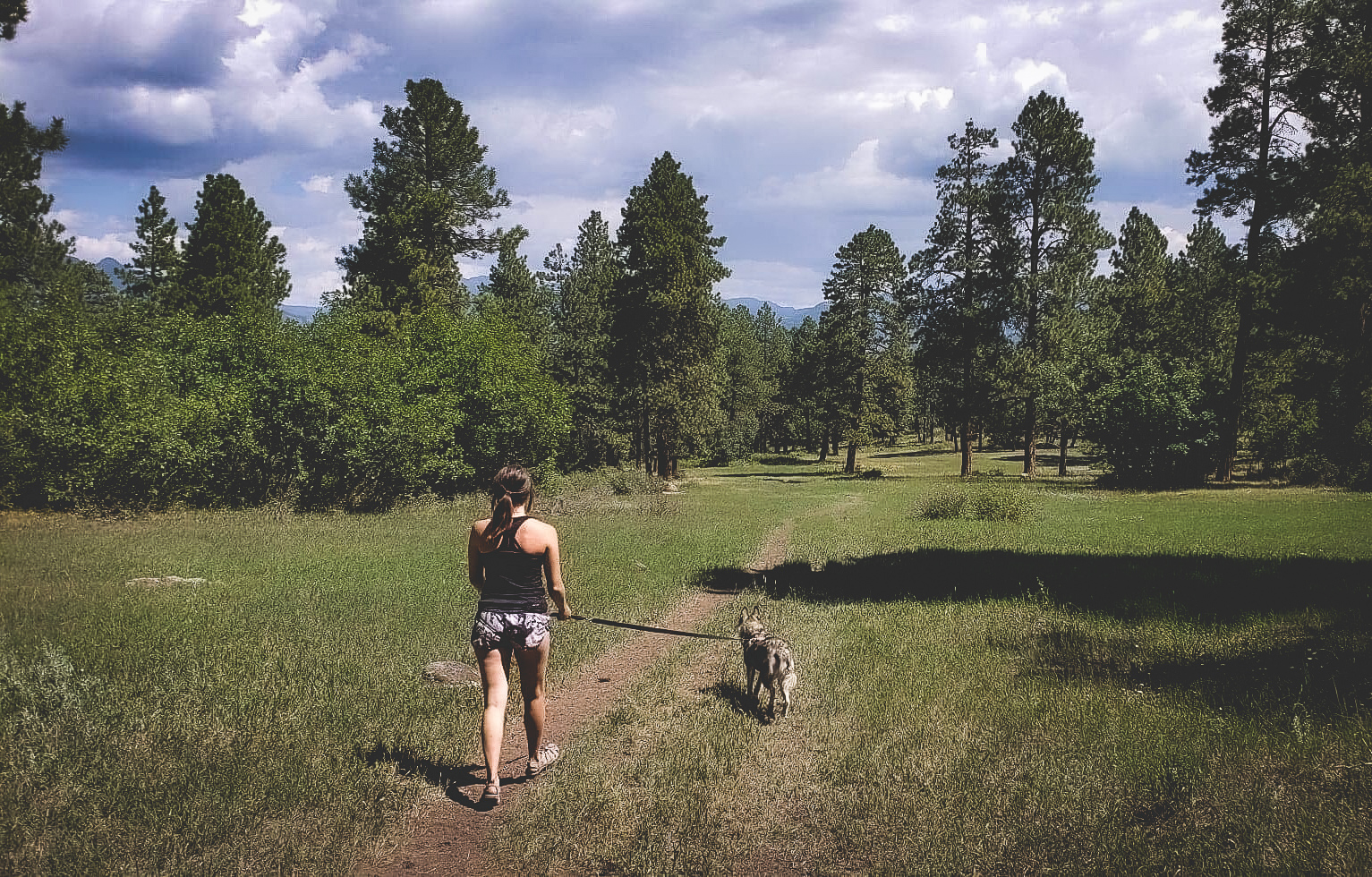 10 BEST Hikes In Pagosa Springs, Colorado 2024 (By A Local) | Living ...