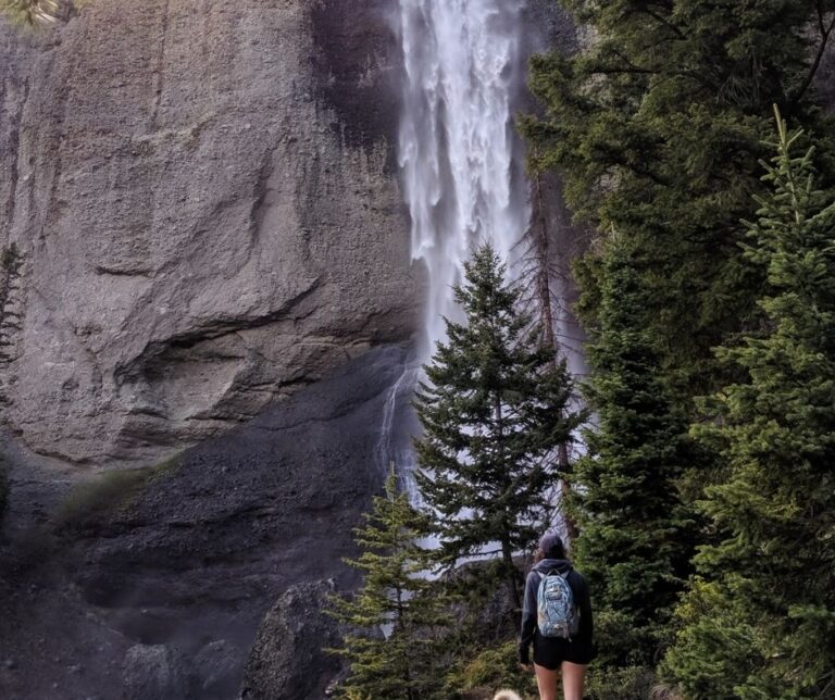 10 BEST Hikes in Pagosa Springs, Colorado 2024 (By A Local)