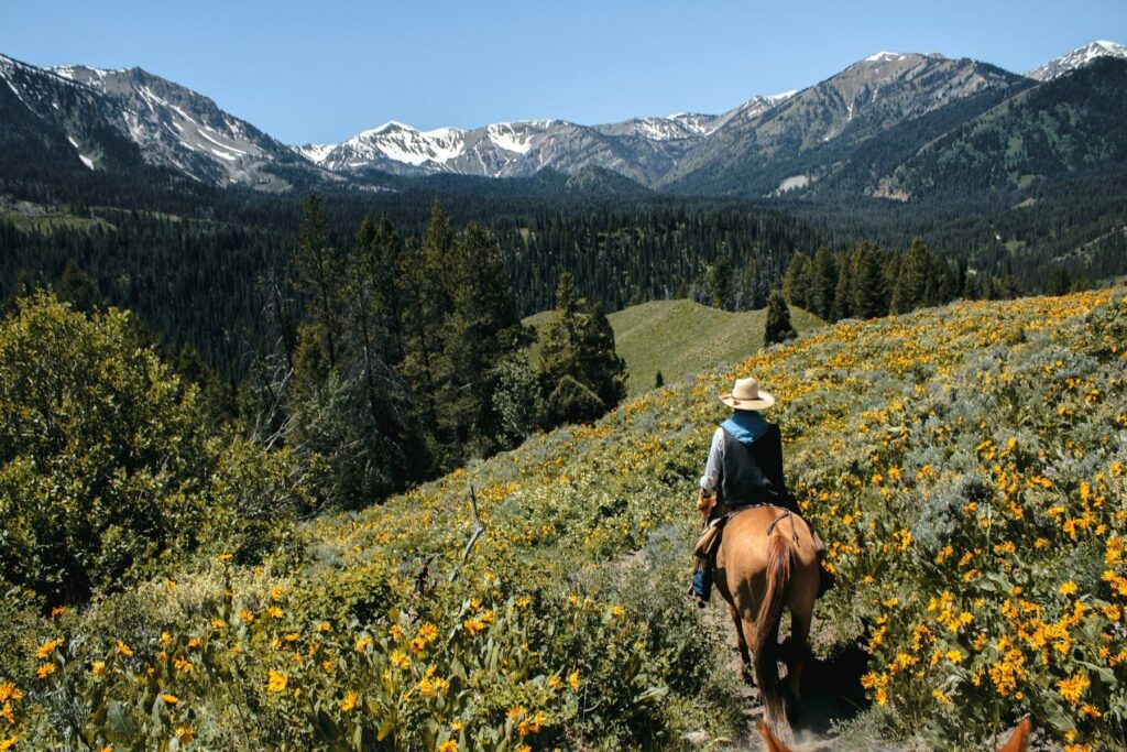 Pagosa Springs Things to do Horse Back Ride