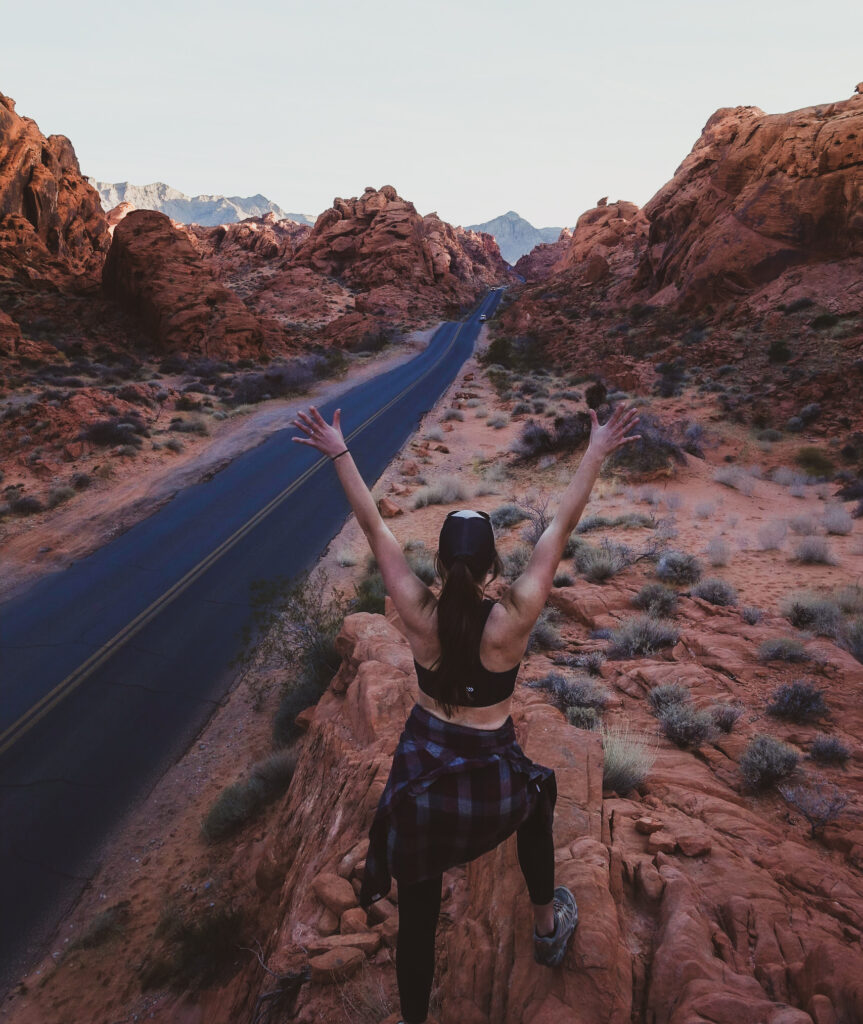 are dogs allowed in valley of fire state park