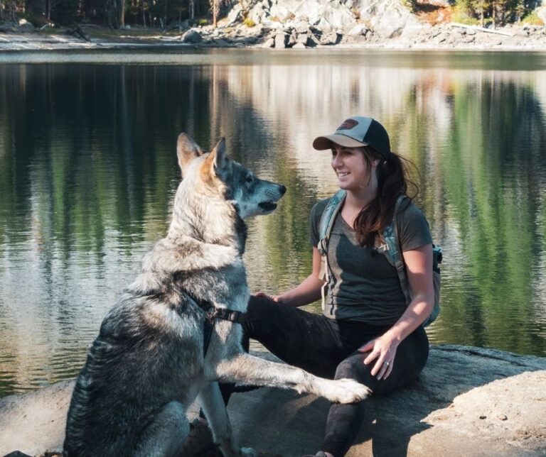 The Complete Guide to Hiking with Dogs: Tips and Gear for the Trail