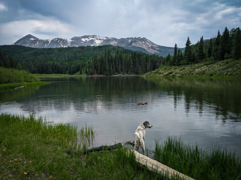 Telluride things to do in the summer - woods lake