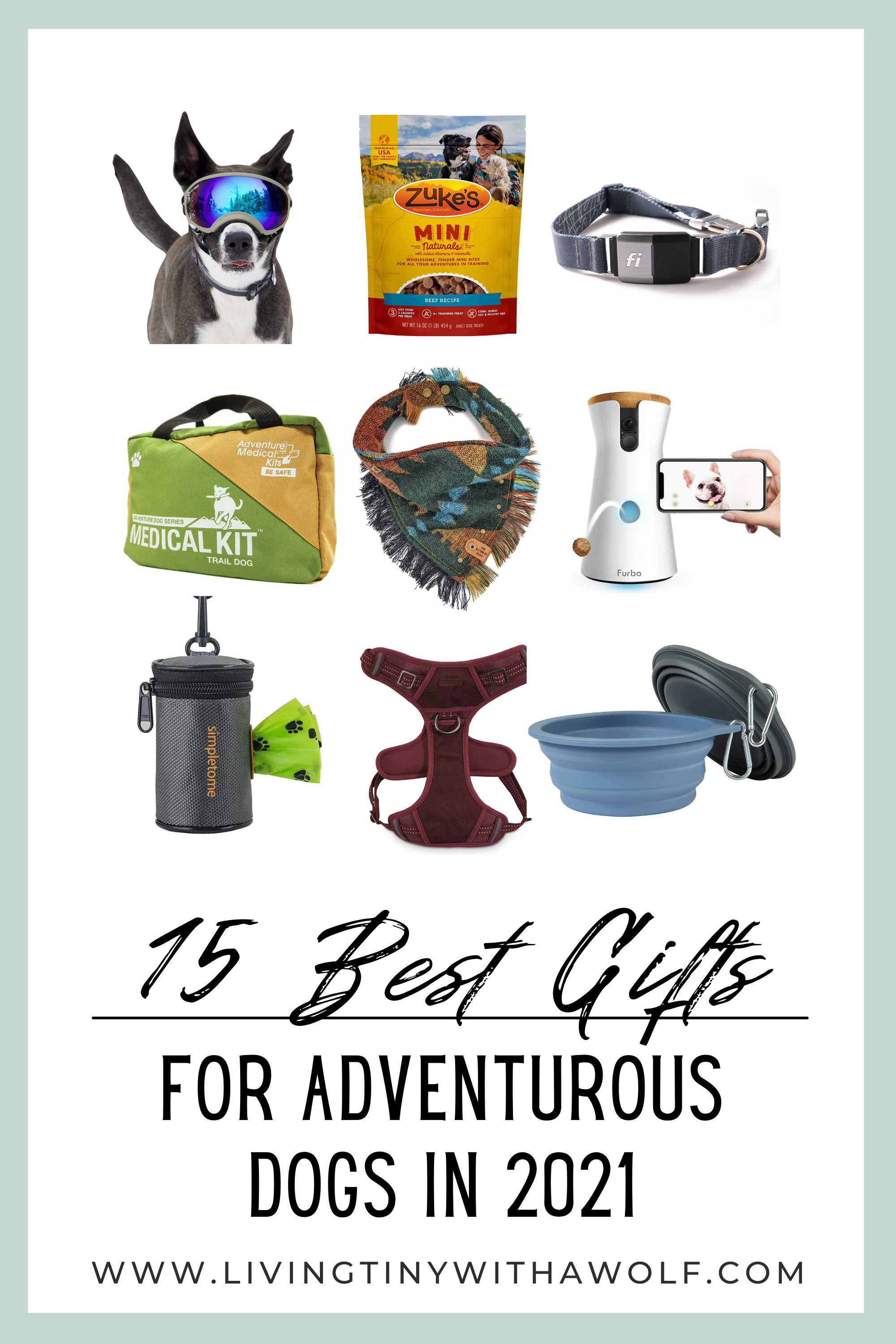 Get the 15 Best Gifts For Dogs While Spending Less