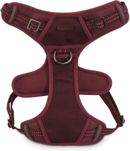 dog harness for adventurous dogs