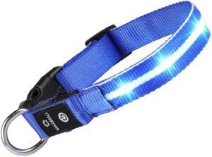 glow in the dark dog collar best gifts for dogs