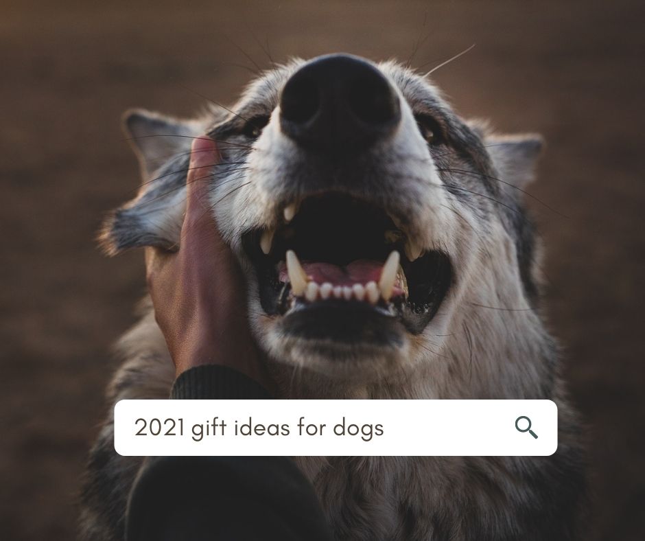 best gifts for dogs 2021