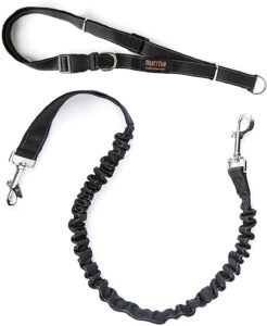 bungee leash best gifts for dogs