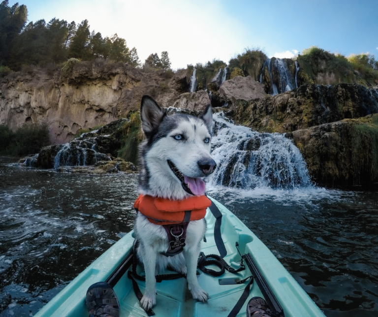 How to Kayak to Fall Creek Falls in Swan Valley, Idaho