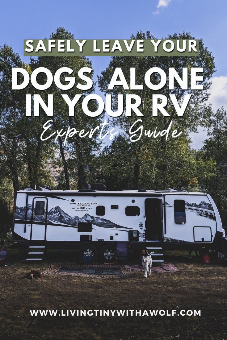 RV Pet Safety: How to Leave Your Dog Alone