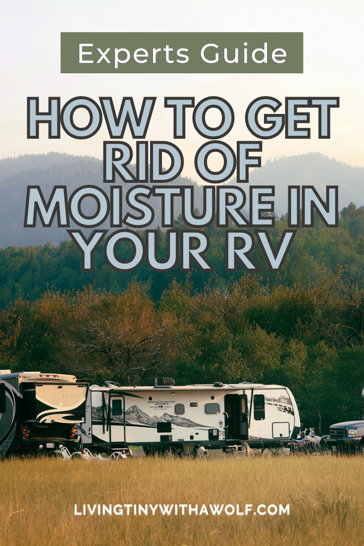 Best RV Dehumidifiers + Why You Need One 2023