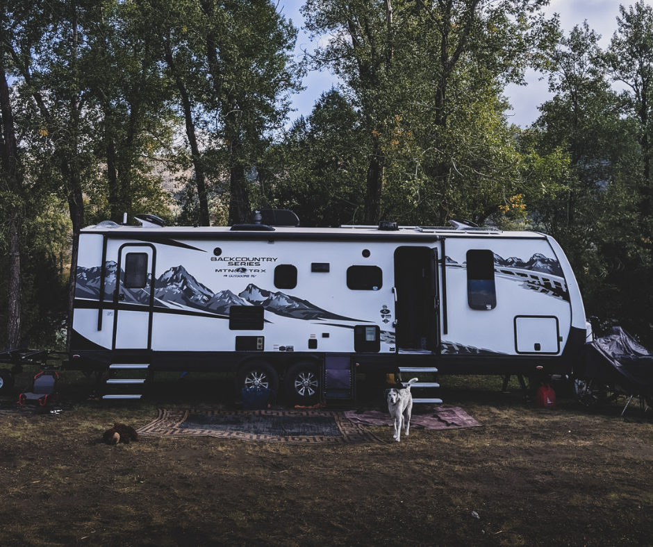Is it safe to leave your Dog Alone in an RV