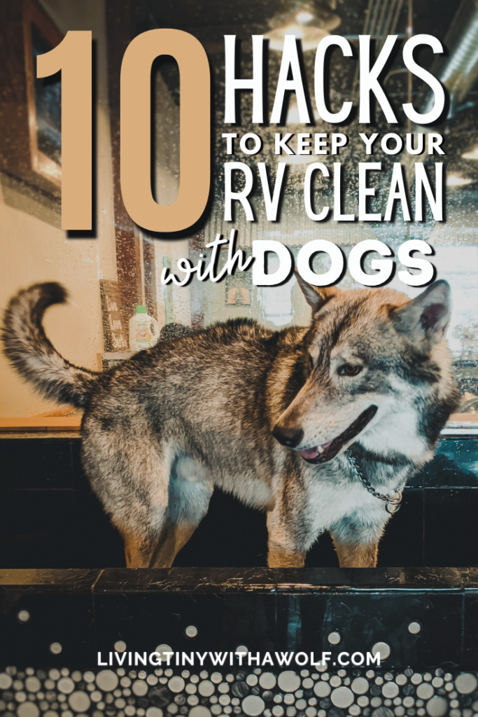 Keep Your RV Clean And Free Of Dog Hair