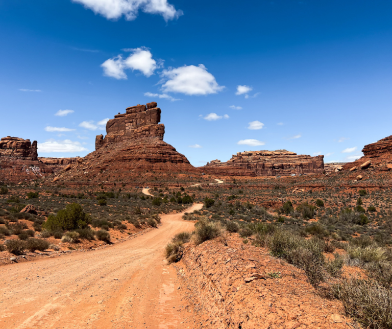 One Day Guide to Valley of The Gods, Moki Dugway, and Muley Point